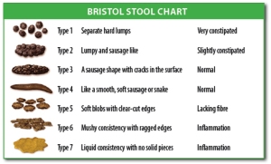 bristol-stool-chart-1